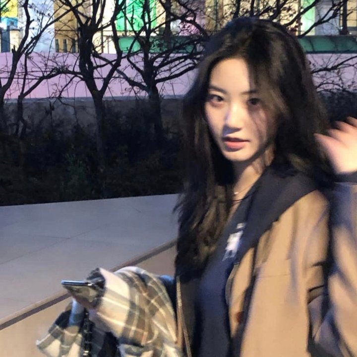 少女情怀尽是诗